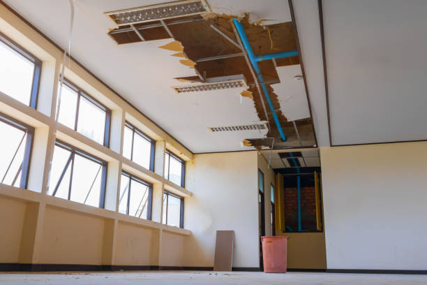 Best Water damage restoration near me  in Davenport, WA