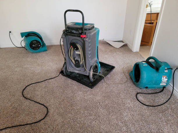 Best Residential water damage restoration  in Davenport, WA