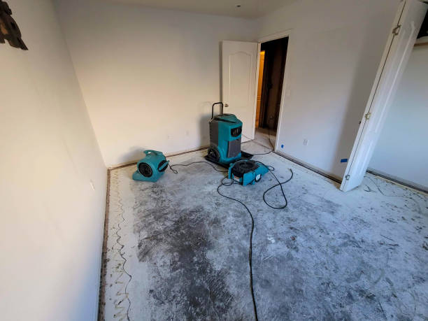 Best Residential water damage restoration  in Davenport, WA