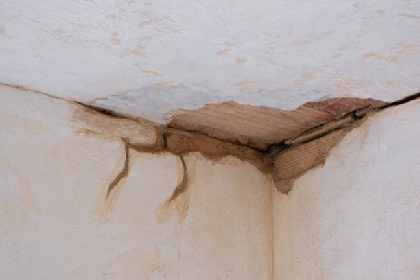 Best Water damage restoration near me  in Davenport, WA