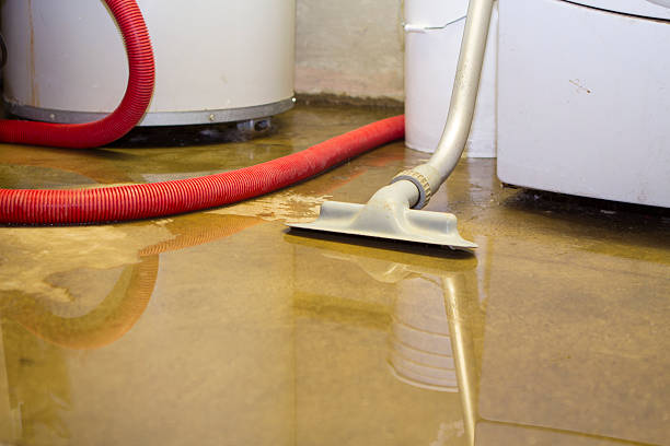 Best Water damage cleanup near me  in Davenport, WA