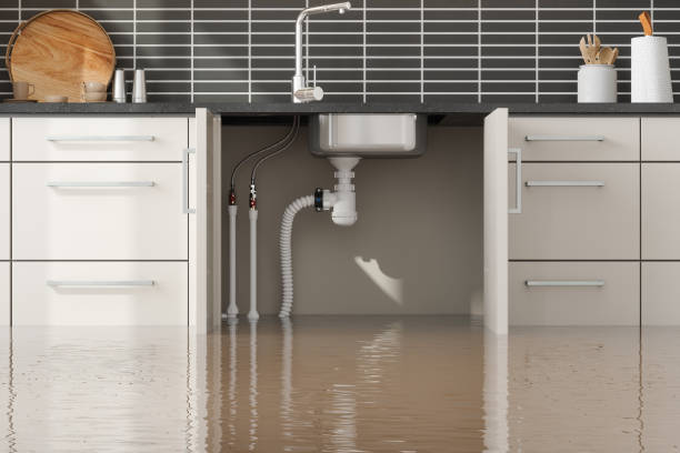 Best Mold removal after water damage  in Davenport, WA