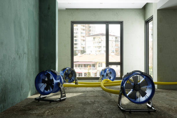 Best Professional water damage repair  in Davenport, WA