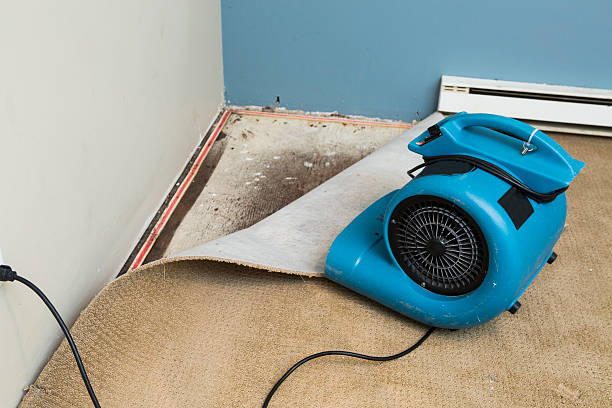 Best Ceiling water damage repair  in Davenport, WA